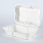 Biodegradable sugarcane bagasse disposable compostable clamshell take away food
