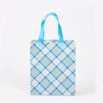 Reusable PP Non-Woven Fabric Shopping Bag Eco Packaging PP Nonwoven Shopping Bag