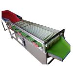 Best Quality!!! Commerical automatic cherry sorting machine