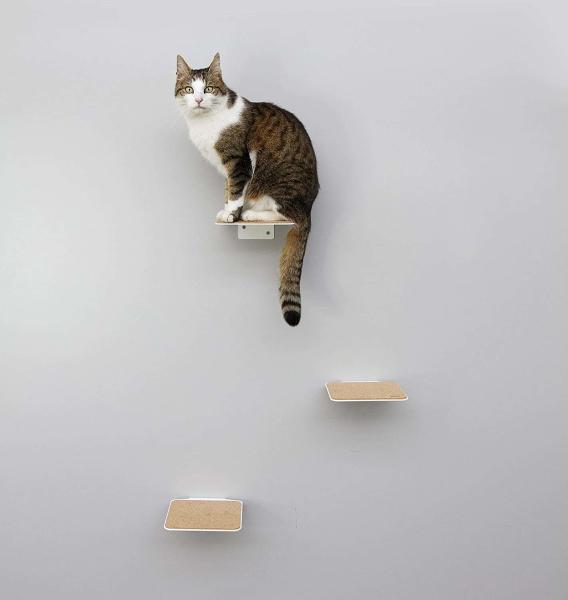 Offering Small Animals the Opportunity to Climb and Observe Black Powder Coated