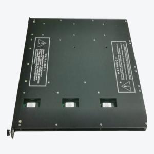 China Triconex 3625 Digital Output Module 24VAC factory