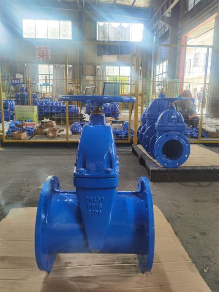 China DIN2533 F5 Pipeline Gate Valve Resilient Seated Sluice Valve Cast Iron factory