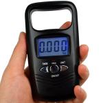 Portable Dual Accuracy Fishing Hook Digital Electronic Scale Digital Scale Hand