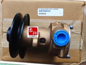 China USA KOHLER diesel generator parts,Sea water pump for kohler,GM46936,GM59333,GM50644 factory