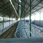 Lanjing Prefabricated Steel Structure Farm House , Modern Metal Livestock