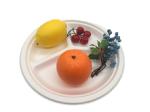 3 Compartment Round Disposable Dishes Biodegradable Sugarcane Bagasse 9inch