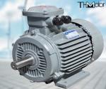 GB30254 High Voltage Flameproof Electric Motor Pump IP65 165kW