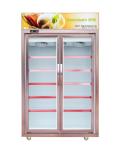 Luxury Aluminum Commercial Display Freezer / 2 Door Supermarket Upright Display