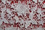 100% Polyester Chemical embroidery lace fabric for lady's dresses and Garment
