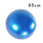 Thickened PVC Yoga Stability Ball , 85 Cm Exercise Ball Explosion Proof For