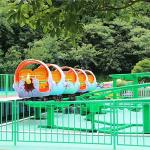 360 Degree Amusement Park Roller Coaster , Dinosaur Roller Coaster