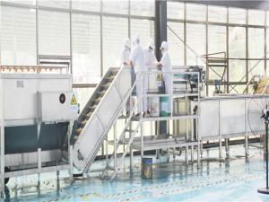 China Fully Automatic Production Line For Carrot Puree And Carrot Juice 1T/H-20T/H factory