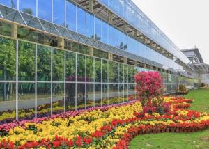China Modern Design Agriculture Plant Greenhouse Strong Wind Pressure Resistance factory
