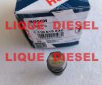 BOSCH Pressure Relief Valve 1110010024 1 110 010 024