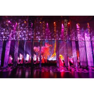 Front / Rear 3D Holographic Mesh Projection Screen For Stage / Exhibition Halls
