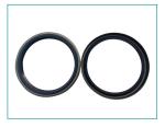 TA Type Double Lip Rotary Shaft Oil 40mm Rubber O Ring
