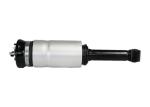 Spring Land Rover Air Suspension System for Discovery 3 RNB501580