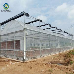 China Custom 0.35KN/M2 33ft Tomato Polyethylene Film Greenhouse on sale