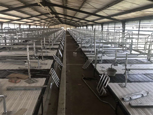 Cast Iron Floor Sow Farrowing Crate 2.5mm Thickness HI HOPE