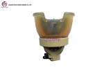 1.2 E21.9 113-714 Compatible Projector Lamps UHP465/370W Digital Projection