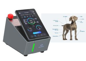 China 980nm Veterinary Laser Therapy Machine Class IV Laser Rehabilitation Therapy factory