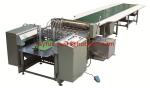 Automatic Pneumatic Hydraulic Cardboard Laminator, Surface Paper + Paperboard