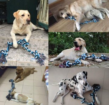 Best Interactive Puzzle Cotton Rope Toys For Dogs