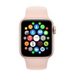 IPS Display 1.3inch 240*240px Intelligent Health Bracelet