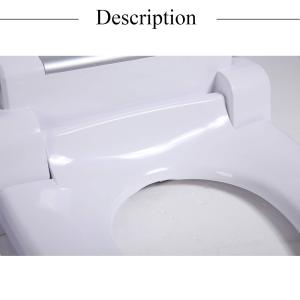 China ABS Resin Bidet Self Cleaning Toilet Seat Automatic Dry Warm Water Washing factory