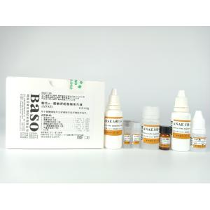 α-Naphthyl Acetate Esterase (α-NAE) Stain Baso Clear Colourful Stains