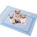 Extra Large Pet Training Pads Leak Proof Disposable Potty Pads For Dogs Cats