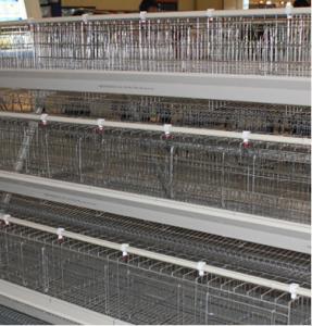 China Q235 Battery Cages Laying Hens Chicken Farming Materials A Type factory