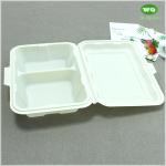 Food Grade Corn Starch PP 9x6 Inch 2 Compartments Lunch Box,Factory Offer
