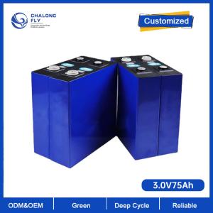 China OEM ODM LiFePO4 Lithium Battery 3.2V 105AH LiFePO4 Prismatic Battery For Solar Energy Storage Lithium Battery Packs factory