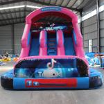 Outdoor Inflatable Water Slide for Children and Adults Accommodates 5-10