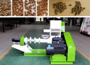 China Small Fish Pellet Extruder Animal Feed Pellet Making Machine 30 Kg/H 40 Kg/H factory