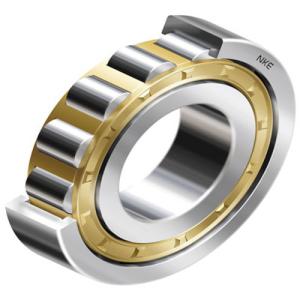 China 620GXX 85mm Bore Cylindrical Eccentric Roller Bearing factory