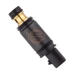 1000S Engine Auto AC Parts Electric Control Valve for Fiat Opel Denso 5SL12