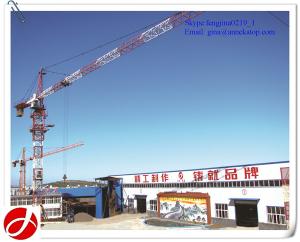 China new condition 8t QTZ100(5020) topkit Tower Crane for sale factory