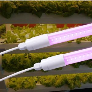 China LED plant lamp lantern growth lamp |LED top light |LED plant lighting Guangdong agricultural lighting factory