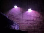 IP65 Waterproof Solar Garden Lights Outdoor Extra Bright Powered Fence Lamp