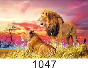 China Custom 3D Lenticular Printing 60*80cm / Wall Poster 3D Animals Photos factory