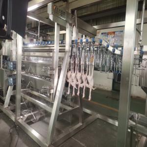 China Stainless Steel Chicken Slaughterhouse Equipment Poultry Defeathering Machine For Farms factory