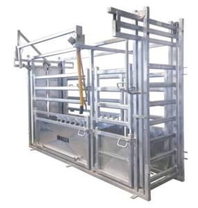 China Professional Hot DIP Galvanized Cattle Crush with Weighing Scale factory