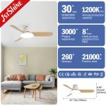 Nordic Style Flush Mounted LED Ceiling Fan with 3 Blades and 6000k Color