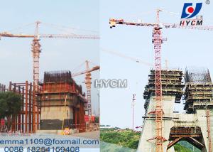 China QTZ100 Remote Control Construction Cranes Tower 60 Meter 8T Capacity factory