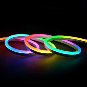 China Programmable CE 12v Neon Flex Led Strips 2 Year Warranty factory