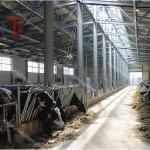 Light Prefab Steel Livestock Barns , Custom Steel Shed Construction