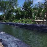 Direct HDPE Geomembrane Liner for Fish Pond Dam Length 50-200m Width 1m-8m