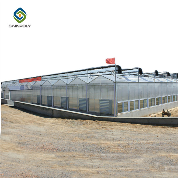 China 10.8m PC Sheet Greenhouse factory